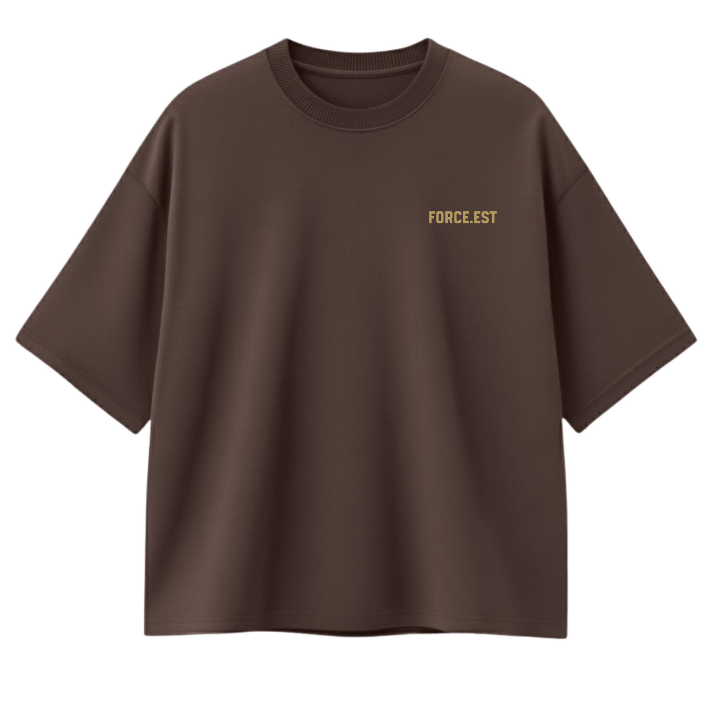 CAMISETA OVERSIZED ISAIAH 41:10 - MARROM